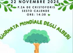 Generico 17 Nov 2025