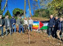 Generico 17 Nov 2025