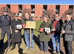 Generico 17 Nov 2025