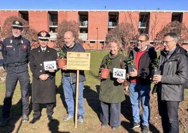 Generico 17 Nov 2025