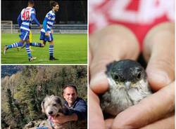 Generico 24 Nov 2025