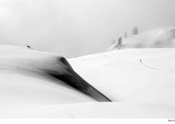 Generico 24 Nov 2025