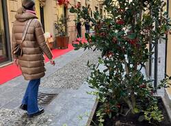 Generico 24 Nov 2025