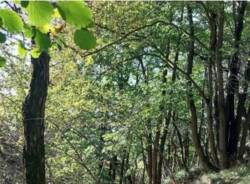 Generico 24 Nov 2025