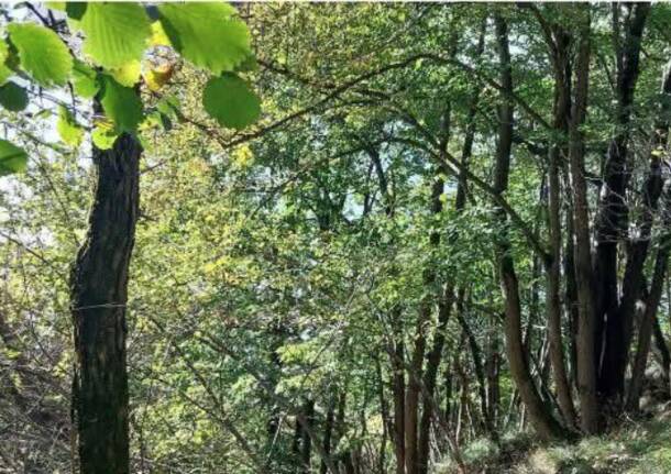 Asfo Valli delle Sorgenti fra i progetti premiati dall’Unione Europa