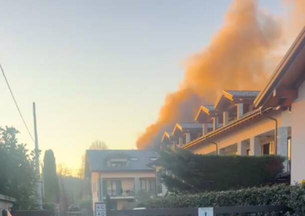 Generico 24 Nov 2025