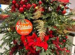 Generico 24 Nov 2025