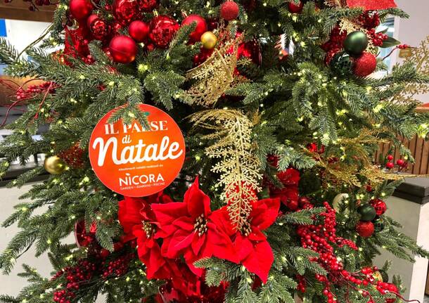 Generico 24 Nov 2025