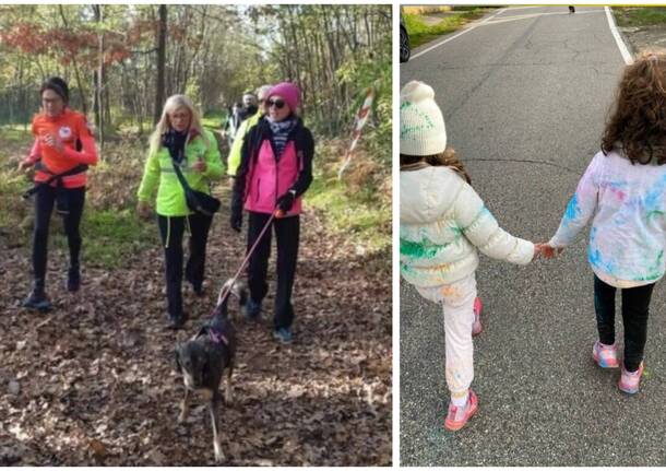 Gorlonga color Ele Run 