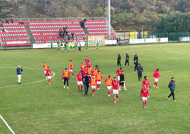 gozzano varese calcio