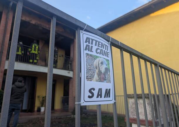 Incendio Castronno Cane Sam 