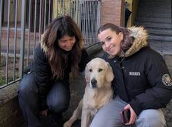 Incendio Castronno - Cane Sam