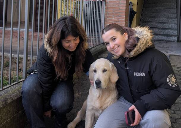 Incendio Castronno - Cane Sam