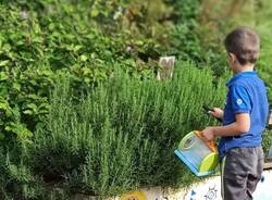 la bottega delle scoperte