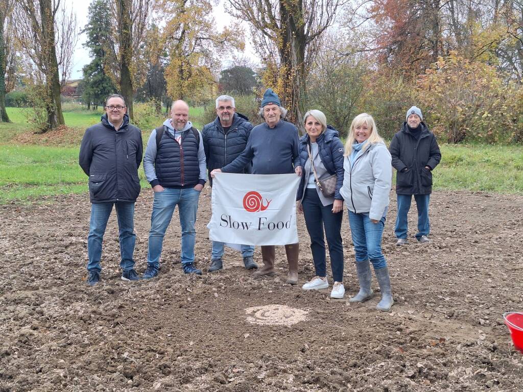 La semina dei cereali preistorici accanto al cantiere del museo Neo Bodio