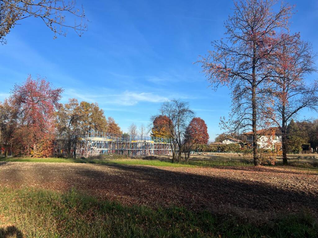 La semina dei cereali preistorici accanto al cantiere del museo Neo Bodio