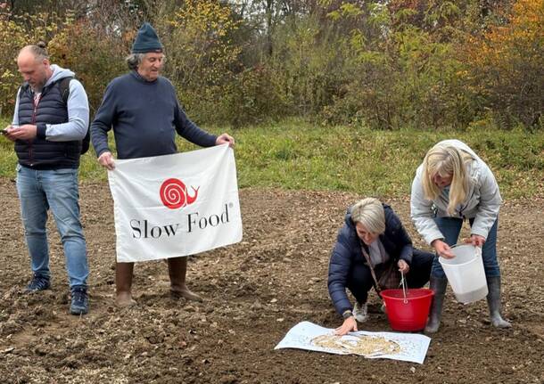 La semina dei cereali preistorici accanto al cantiere del museo Neo Bodio