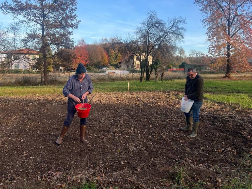 La semina dei cereali preistorici accanto al cantiere del museo Neo Bodio