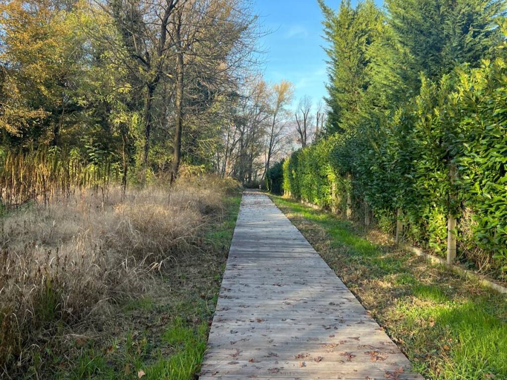 La semina dei cereali preistorici accanto al cantiere del museo Neo Bodio
