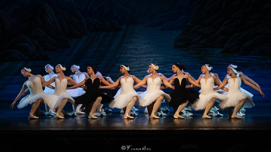 Lago dei cigni Franco Aresi