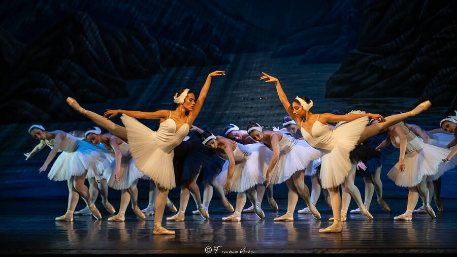 Lago dei cigni Franco Aresi