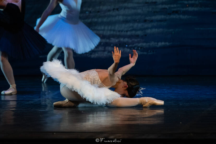 Lago dei cigni Franco Aresi
