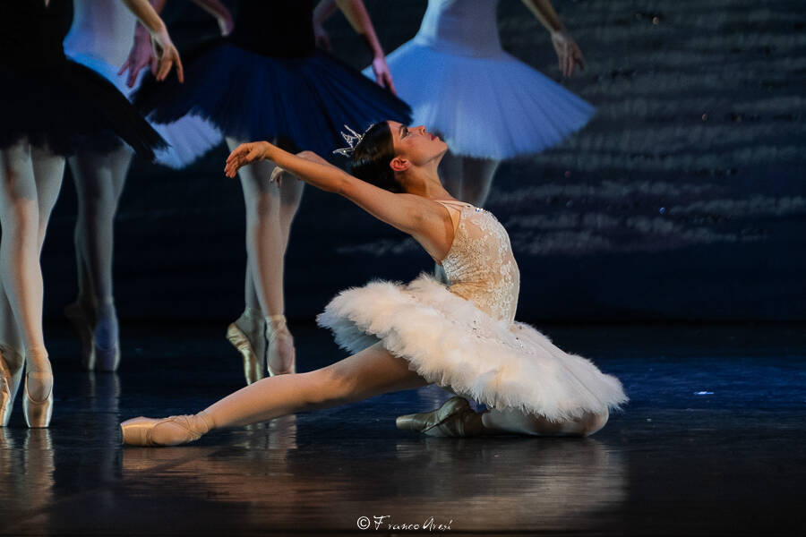Lago dei cigni Franco Aresi