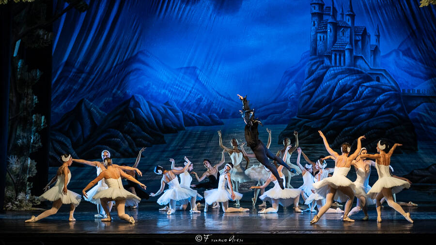 Lago dei cigni Franco Aresi