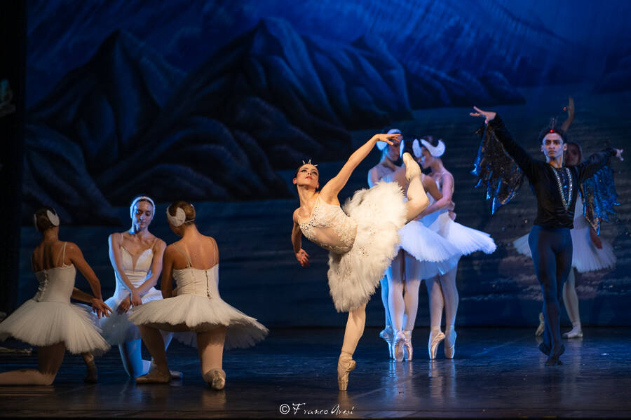 Lago dei cigni Franco Aresi