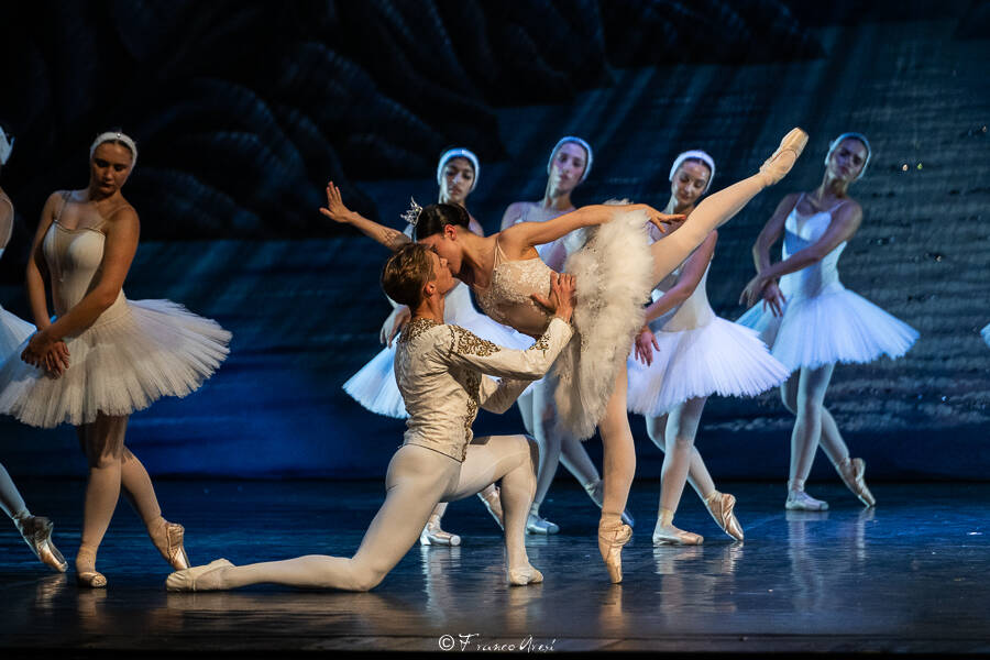 Lago dei cigni Franco Aresi