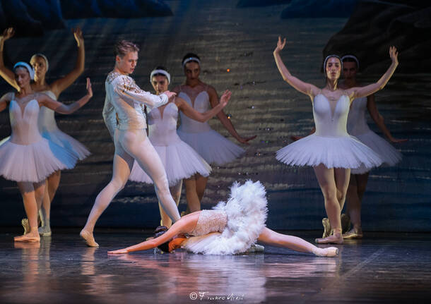 Il Lago dei cigni al teatro civico di Vercelli