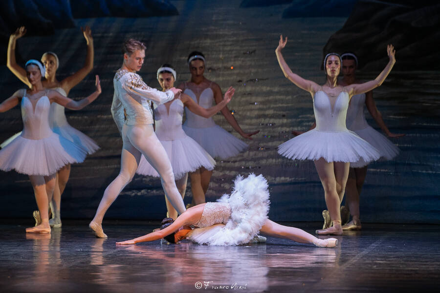 Lago dei cigni Franco Aresi