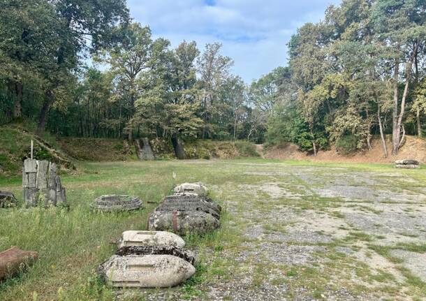 Lonate Pozzolo generica