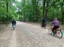 Lonate Pozzolo generica