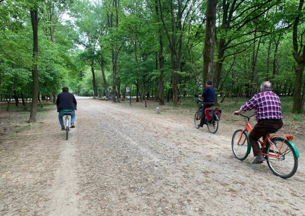 Lonate Pozzolo generica