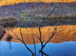 Meraviglia d’autunno a Ganna
