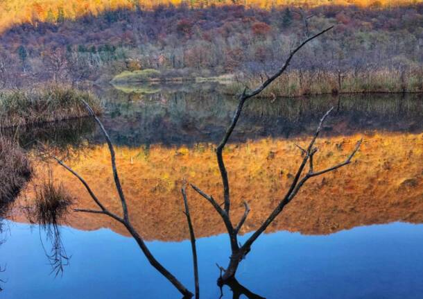 Meraviglia d’autunno a Ganna