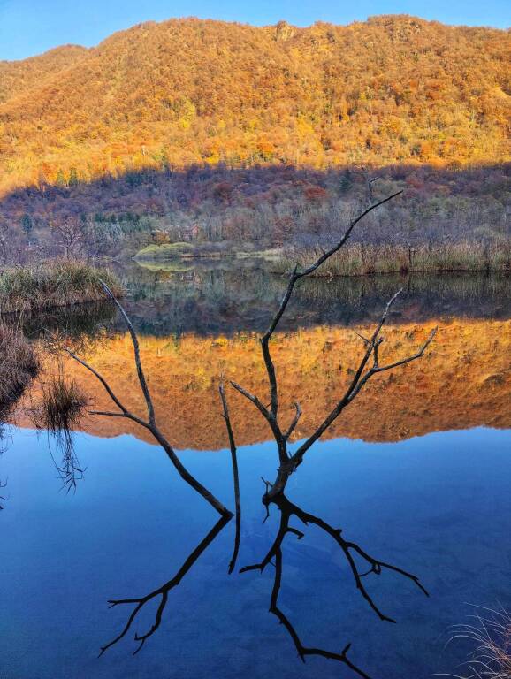 Meraviglia d'autunno a Ganna
