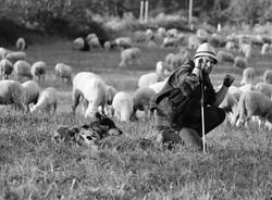 Mostra transumanza Mario Baratelli