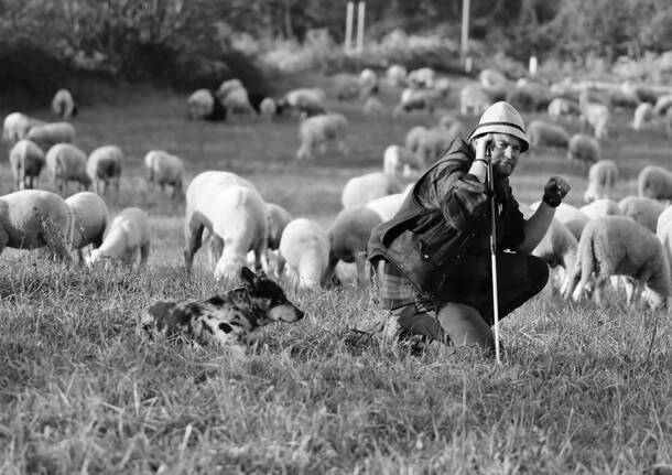 Mostra transumanza Mario Baratelli