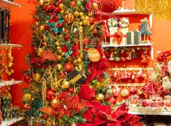 Nicora Black Friday 2025