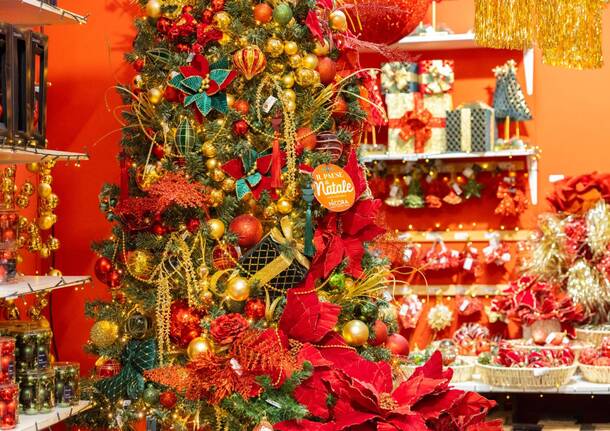 I supersconti del Black Friday di Nicora Garden