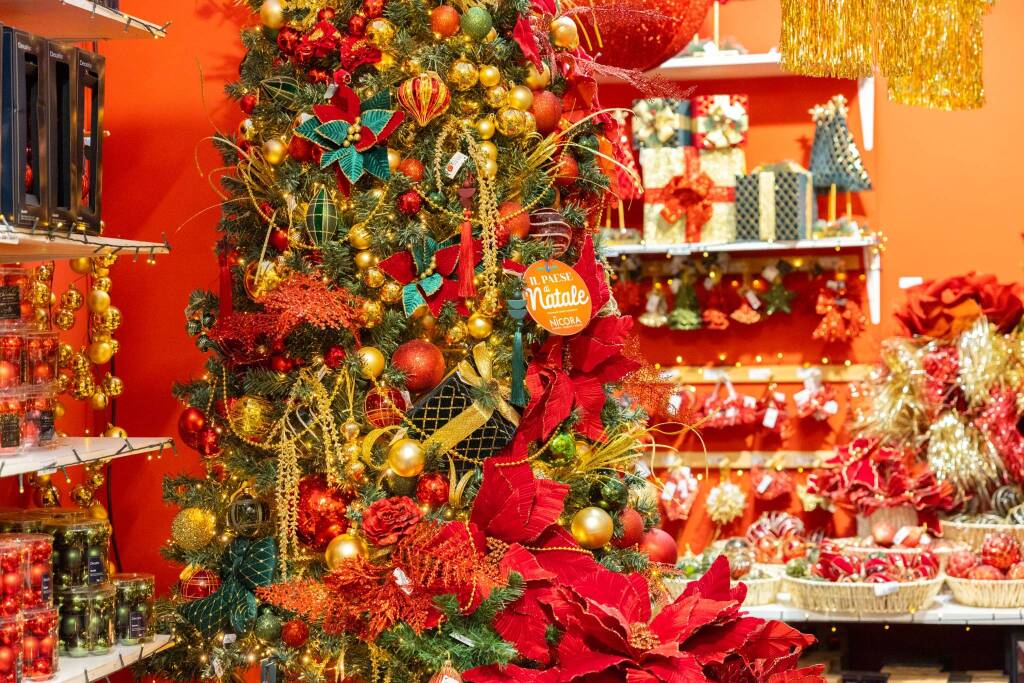 Nicora Black Friday 2025