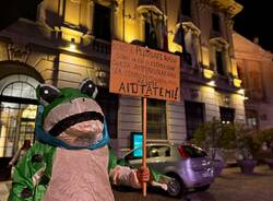 PELOBATE FOSCO GALLARATE