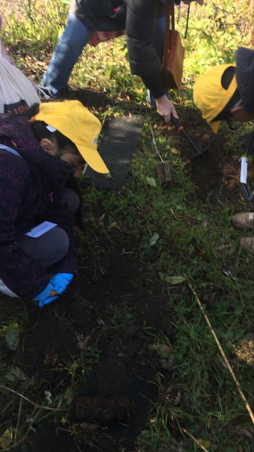 piantumazione alberi Oasi Parades Parabiago