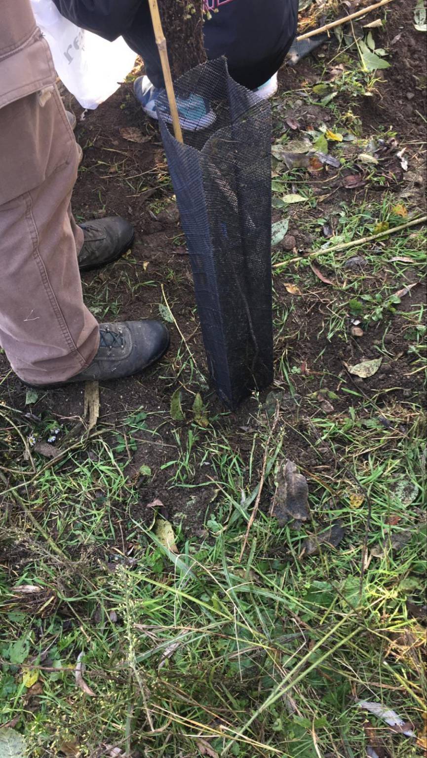 piantumazione alberi Oasi Parades Parabiago