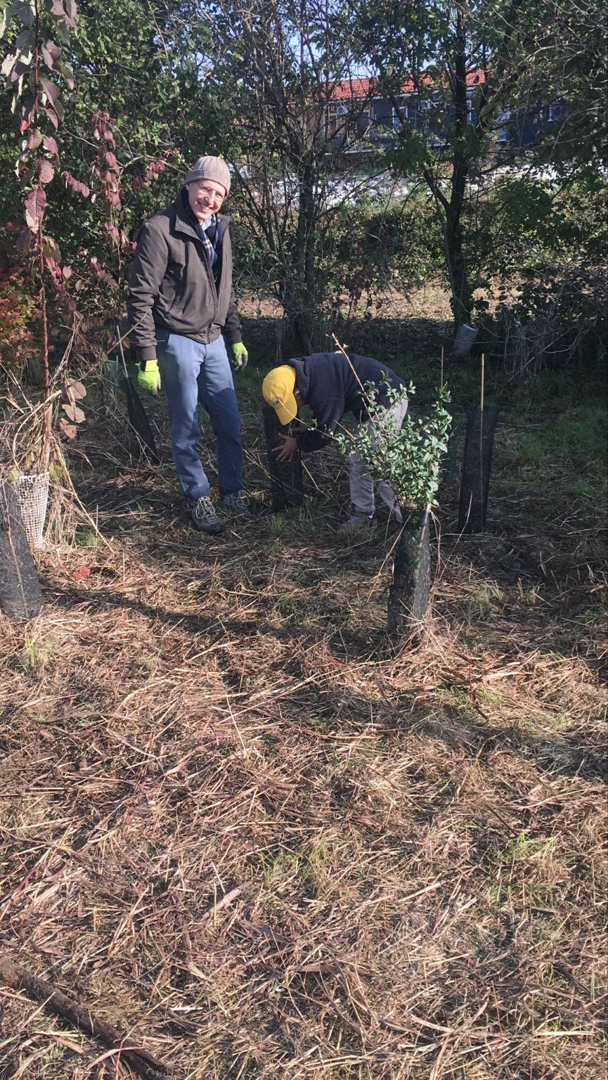 piantumazione alberi Oasi Parades Parabiago