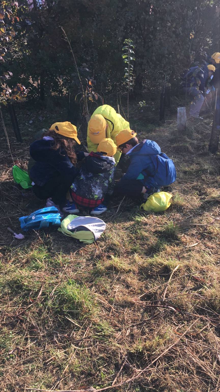 piantumazione alberi Oasi Parades Parabiago