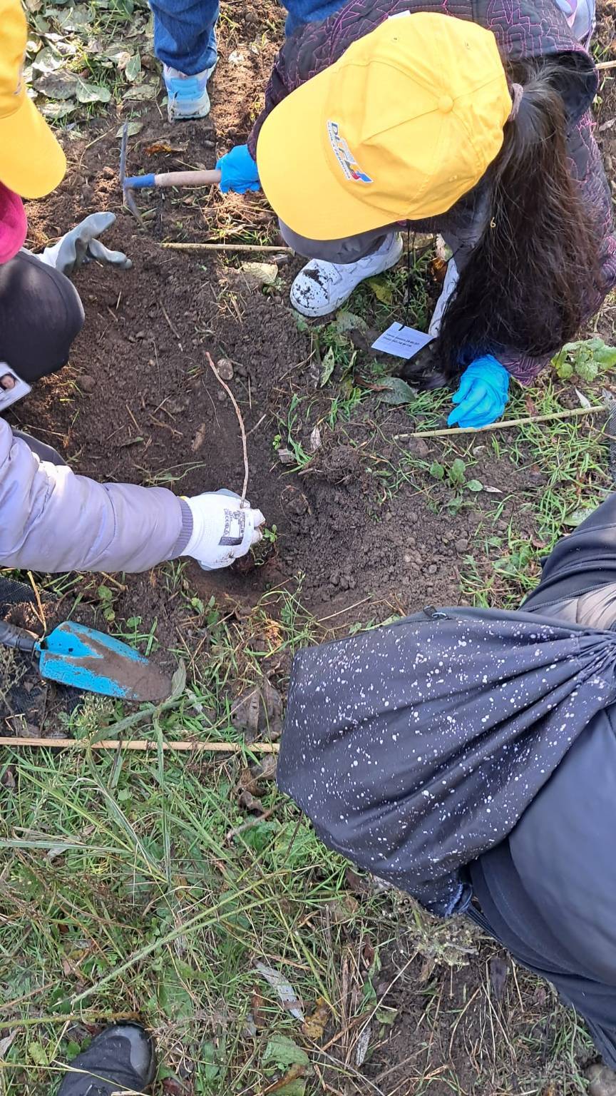 piantumazione alberi Oasi Parades Parabiago