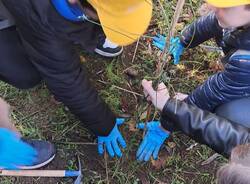 piantumazione alberi Oasi Parades Parabiago